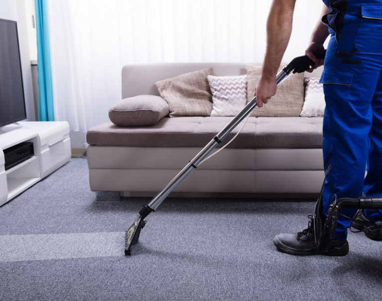 Best Carpet Cleaning Services in NYC Organic Rug Cleaners